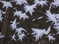 Große Eisblumen auf geschlossener Eisdecke